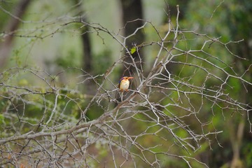 IMG_20150617_152907