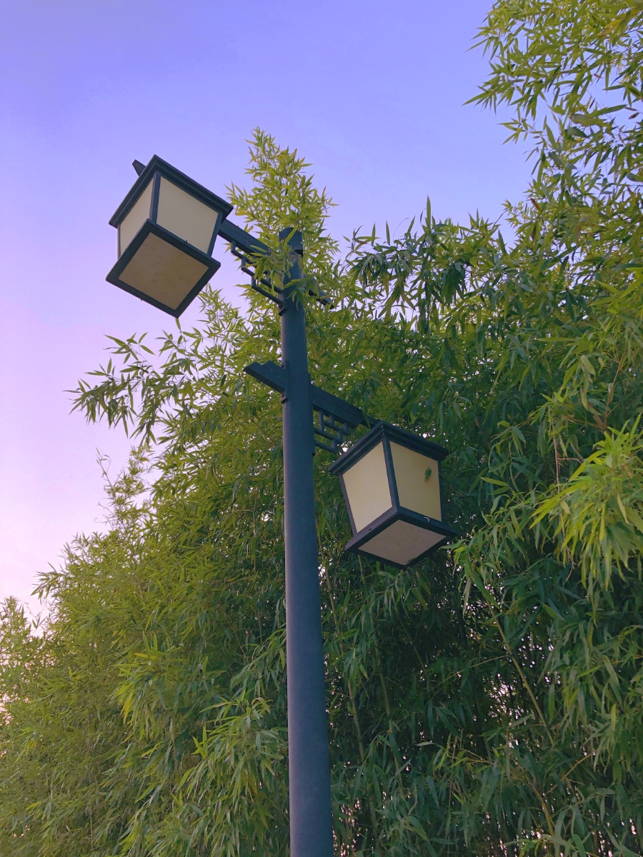 秋冬的路灯柱显得格外引人注目.