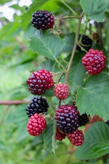 P2070136