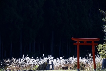 001