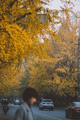 0C0B48E1-7565-4DCF-99F1-66BDC55053D2/L0/001