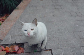 94541