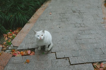 94544