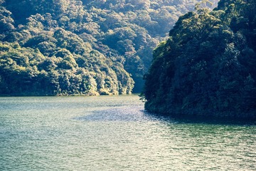 E878A0E4-DD88-4197-BCD0-A4C9712F531F/L0/001