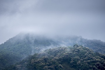 C9874862-0959-4CF2-AC1A-B867B888ABC9/L0/001