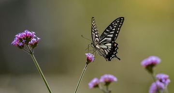 130484