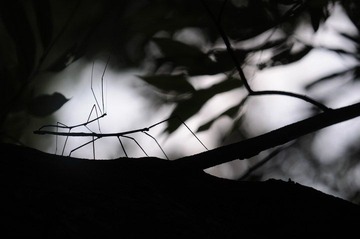 DSC_3004.JPG