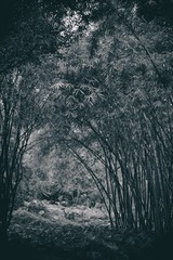 _DSC4292_62206