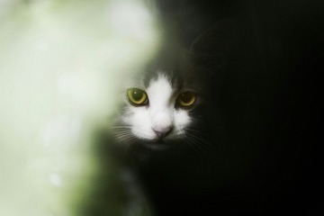 _DSC8623x-02-01