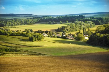_DSC3448-01