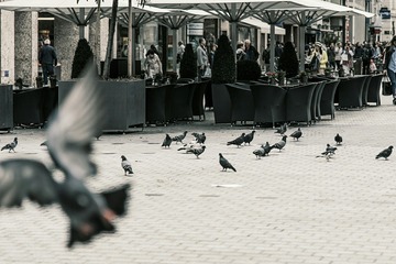 IMG_20161021_233921