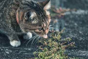 IMG_20161104_204834