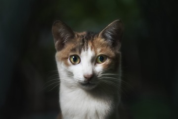 _DSC0151