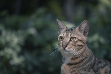 _DSC0190