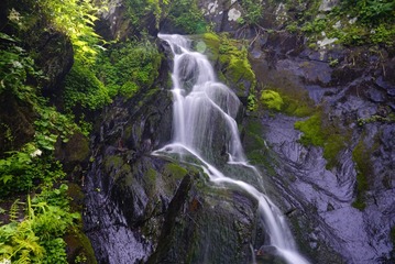 _DSC2703