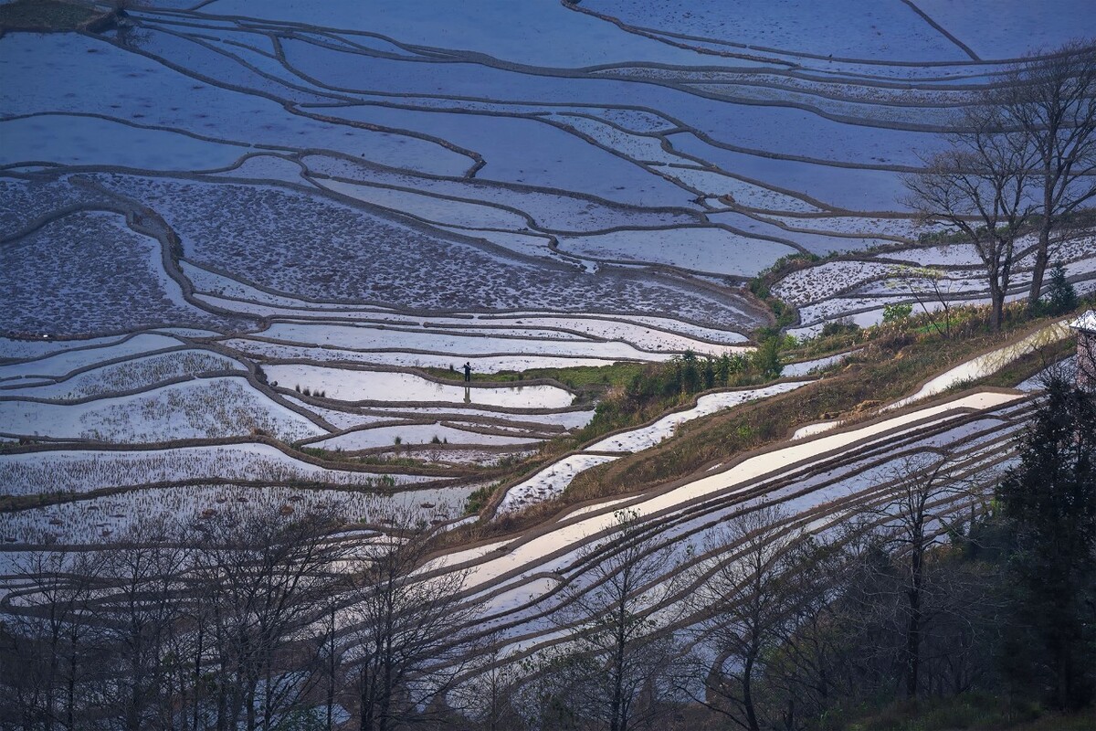 元阳梯田