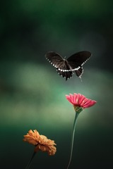 1100523