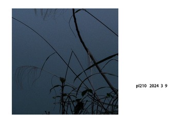 1000027333
