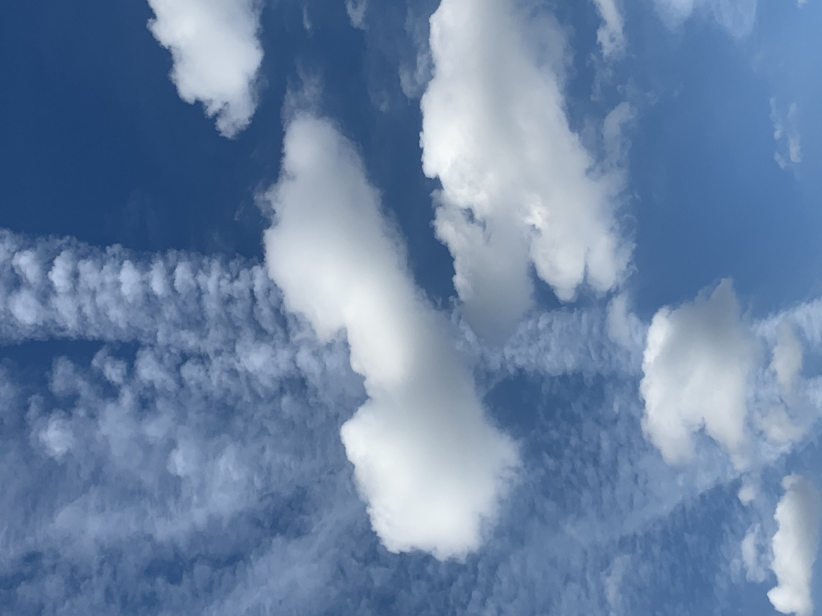 900_1200竖版 竖屏