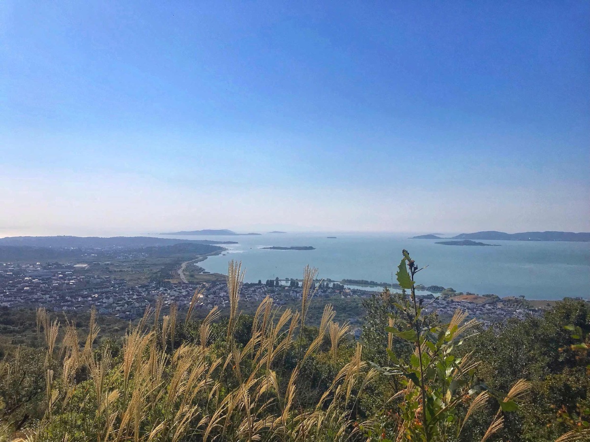 叽叽复叽叽叽叽