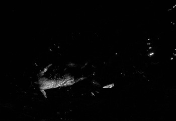 Image2-1