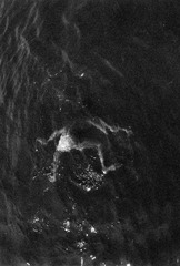 Image1-1