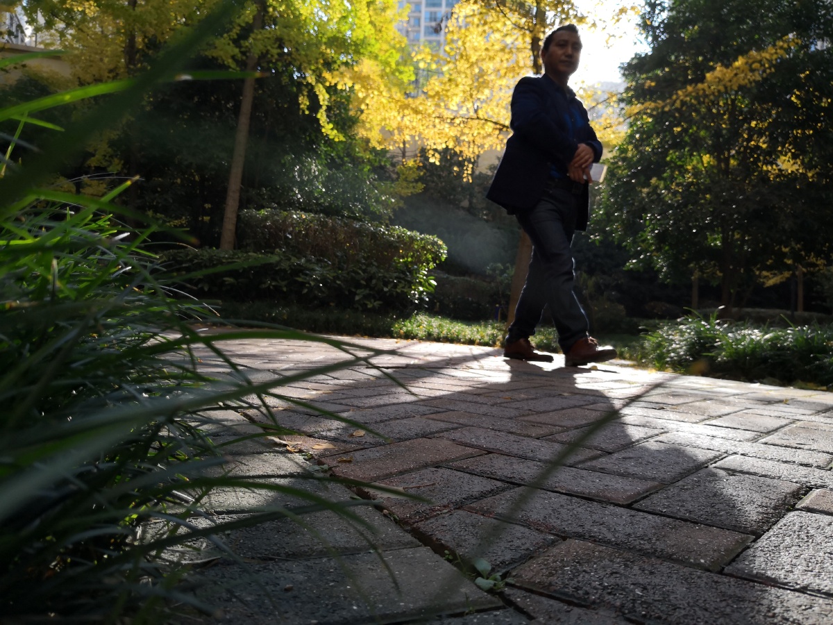 拍摄注释光影婆娑的释义指阳光照射下的影子随意舞动摇摆摆动