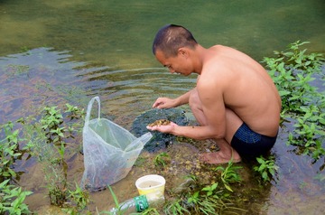 夏河淘宝
