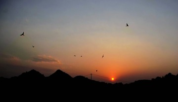 山气日夕佳，
飞鸟相与还。