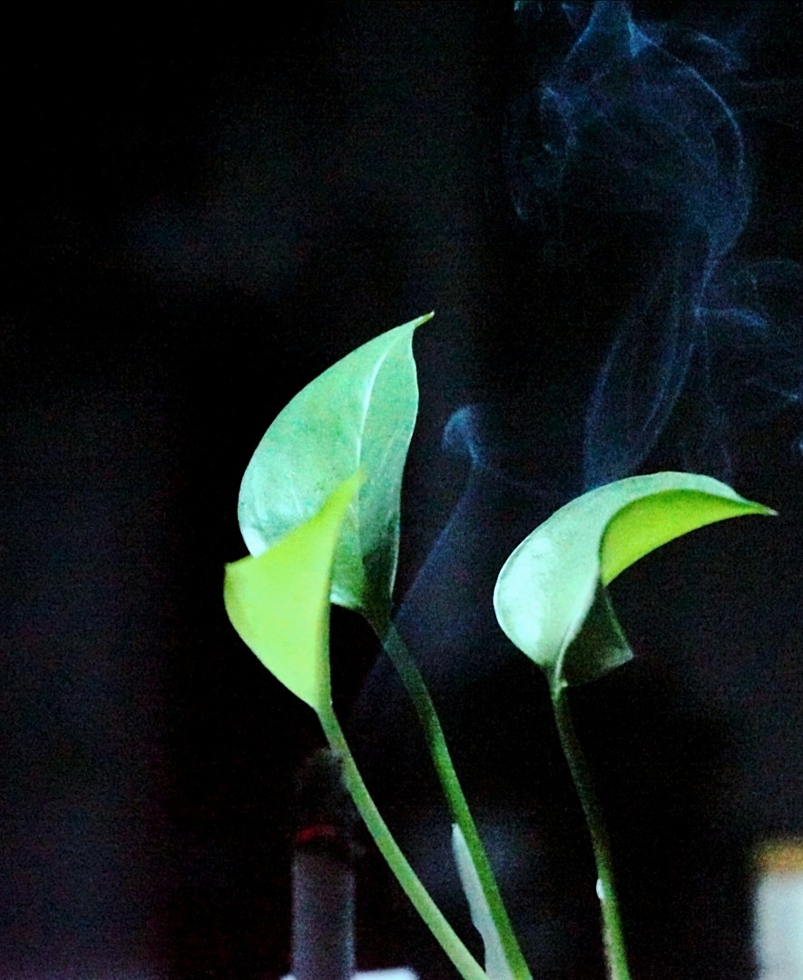 青烟一缕芬芳满堂