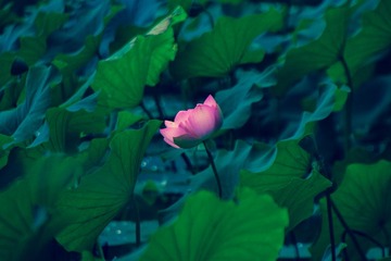 LRM_EXPORT_20160911_211609