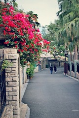 IMG_0558_mix01