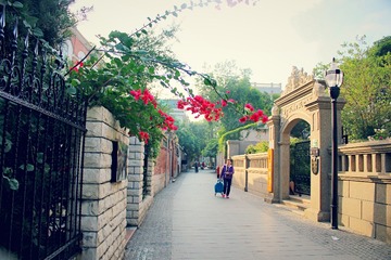 IMG_0602_mix01