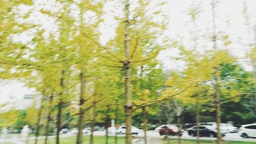 2016-11-09 03.06.22 1