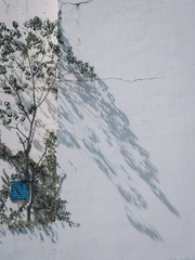 4836190