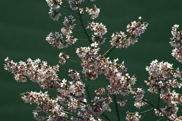 45BFA6E4-939E-4EDB-8BCA-E2895A630A9C/L0/001