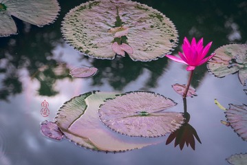 DSC01761水印