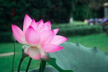 DSC01763水印