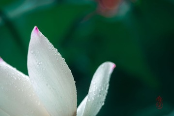 DSC01782水印