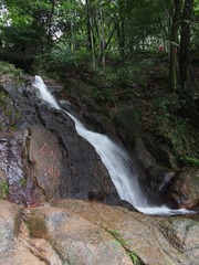 P6114786