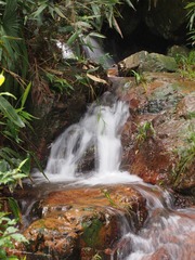 P6114795