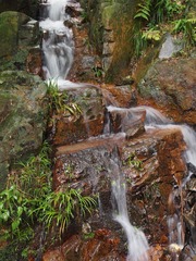 P6114799