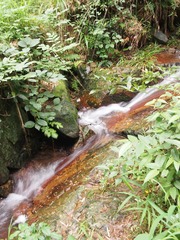 P6114802