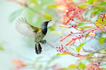 DSC_7781-编辑