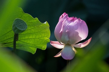 DSC_5344-编辑