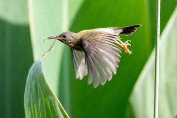 DSC_5990-编辑
