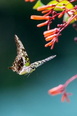 DSC_5427-编辑