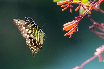 DSC_5426-编辑