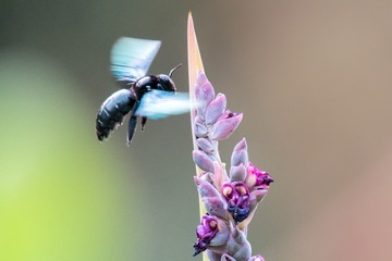 DSC_5679-编辑