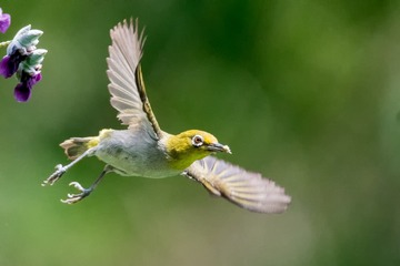 DSC_7096-编辑